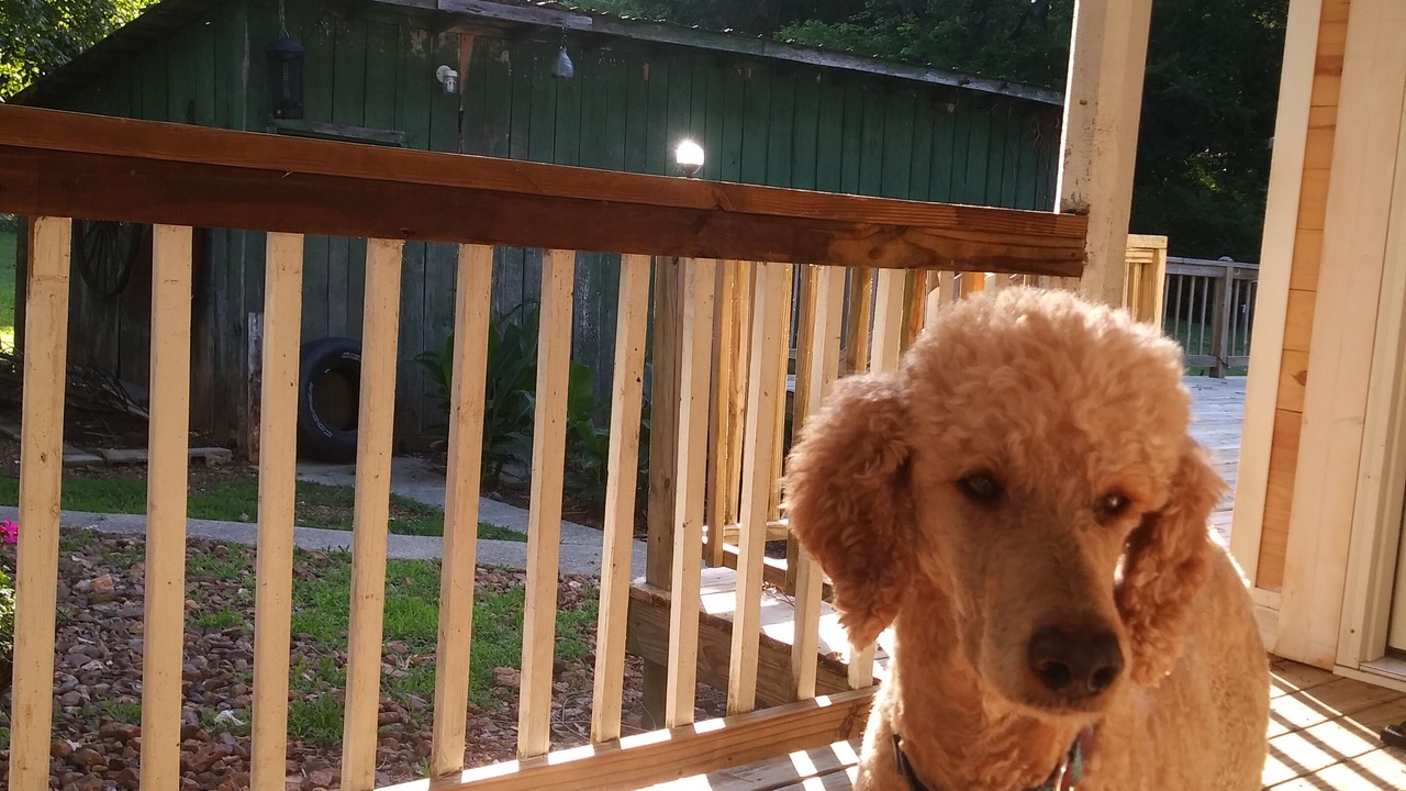 Photo of Patio Balcony in Winchester