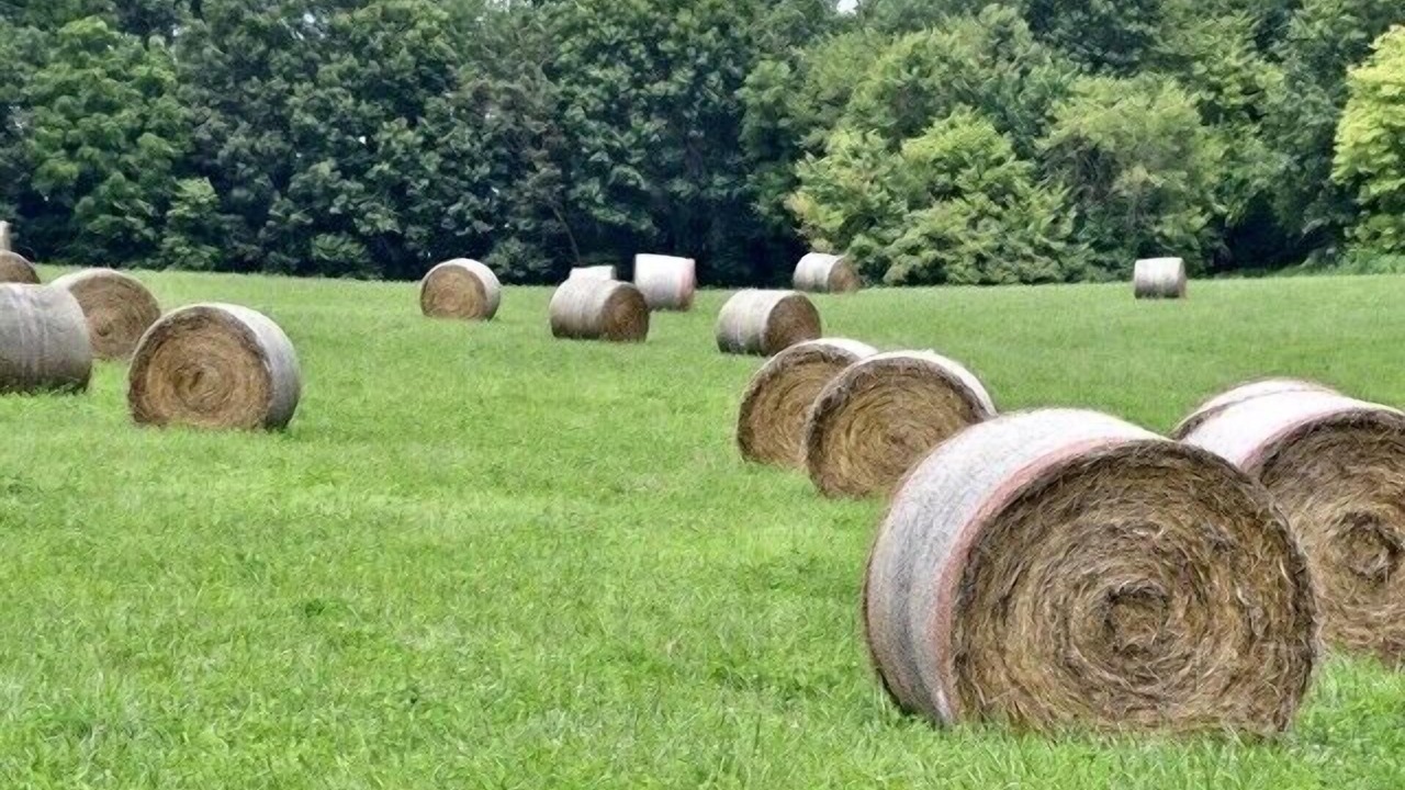 Photo of Outdoor in Warrensburg