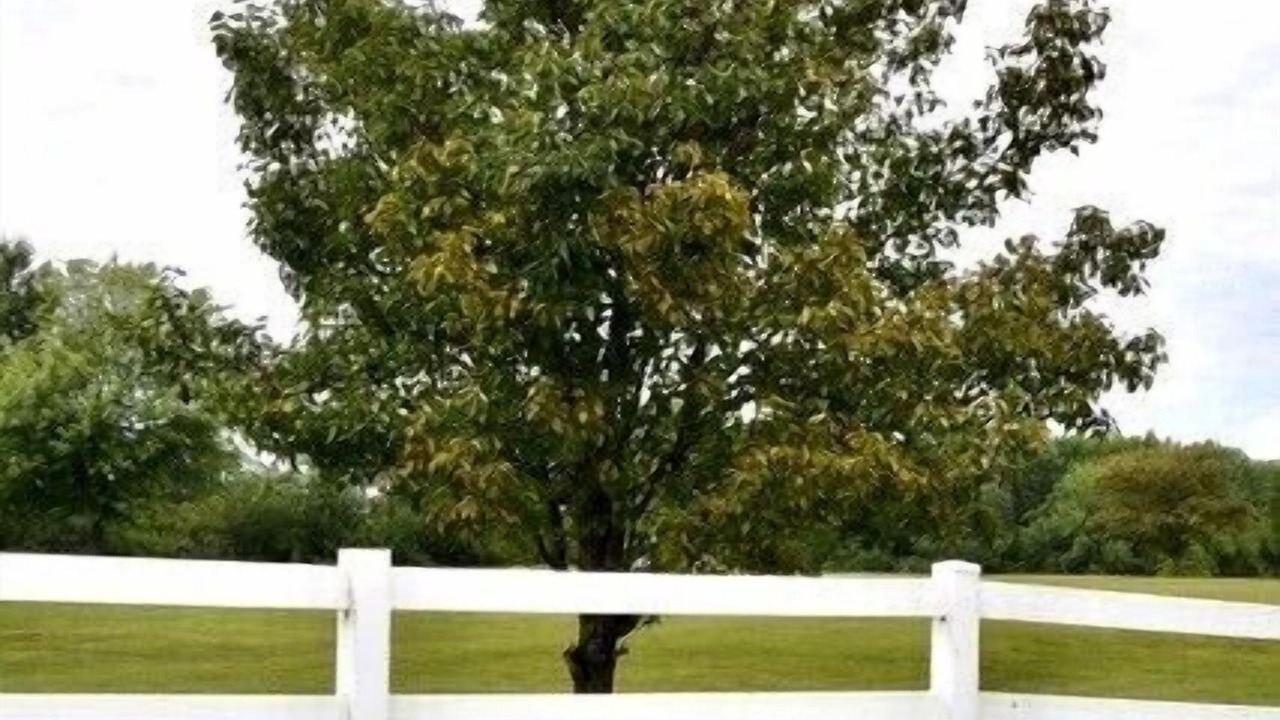 Photo of Outdoor in Warrensburg