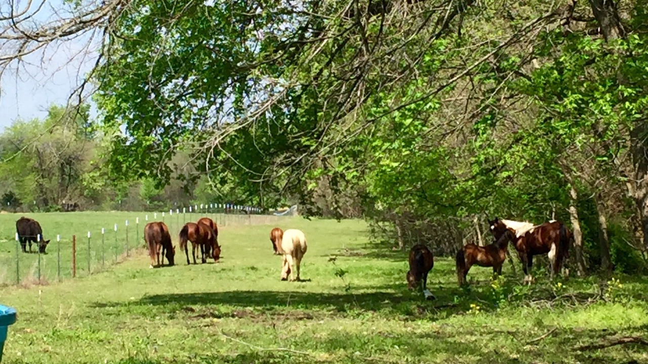 Photo of Outdoor in Warrensburg