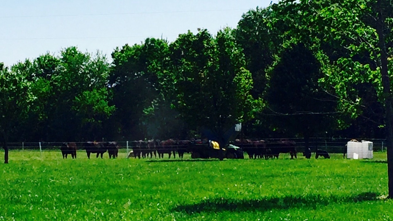 Photo of Outdoor in Warrensburg