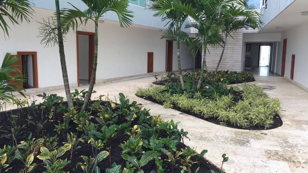 Photo of Outdoor in Boca Chica