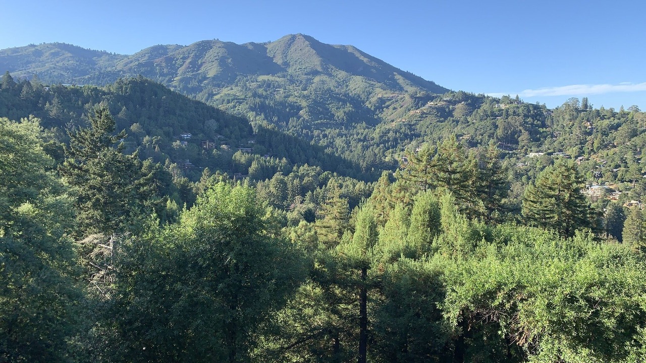 Photo of Bedroom in Tamalpais-Homestead Valley