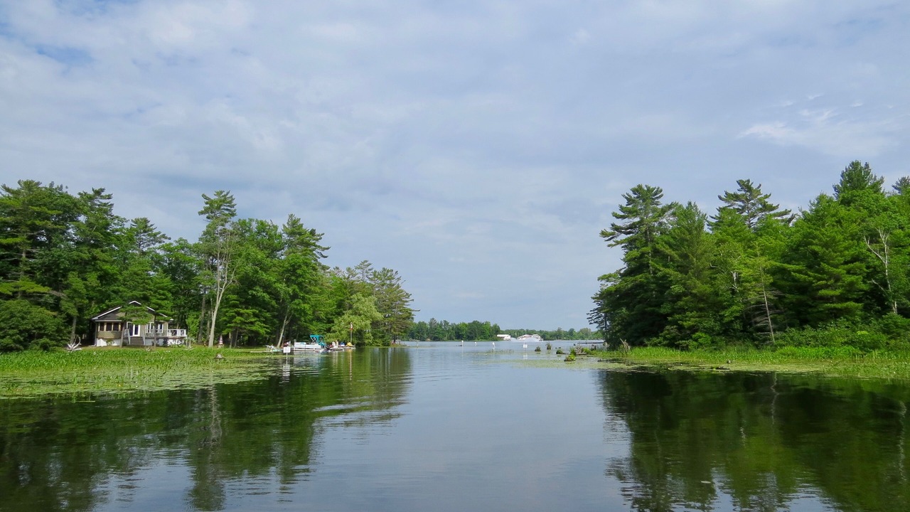 Photo of Outdoor in Port Severn
