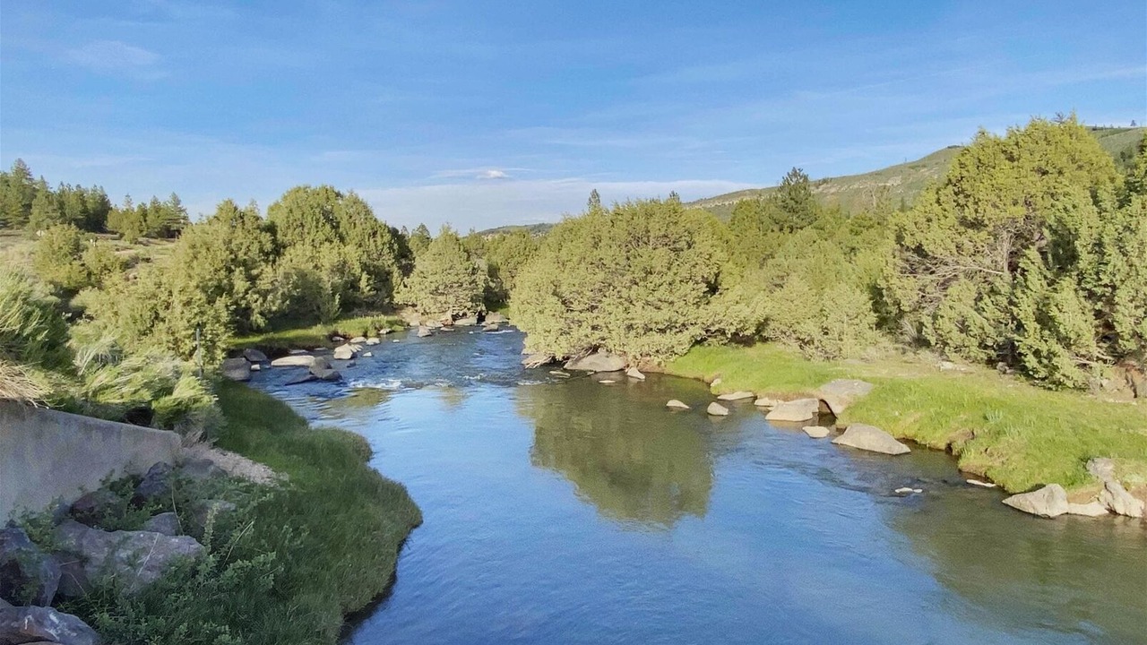 Photo of Others in Mammoth Creek