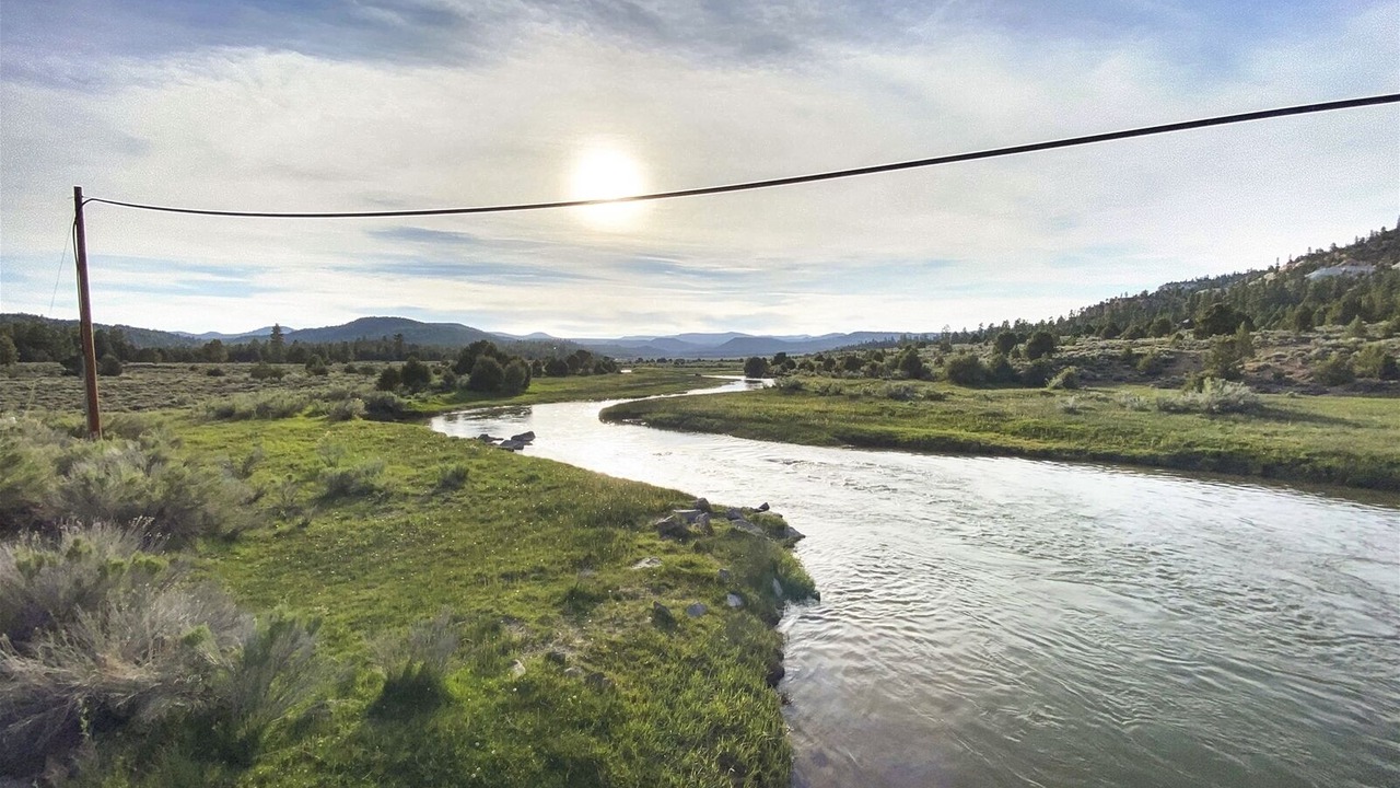 Photo of Others in Mammoth Creek