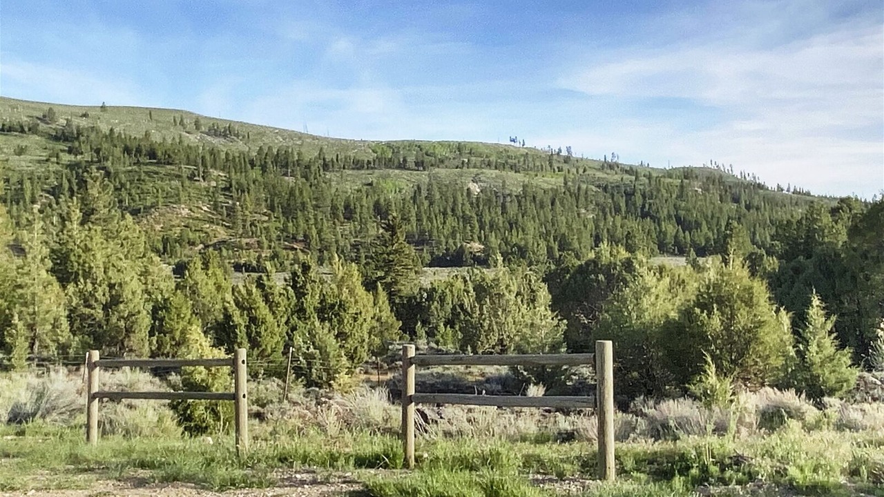 Photo of Outdoor in Mammoth Creek