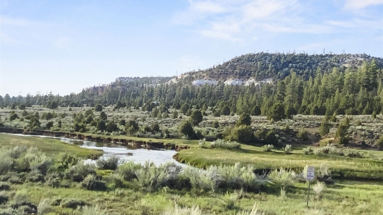 Photo of Outdoor in Mammoth Creek