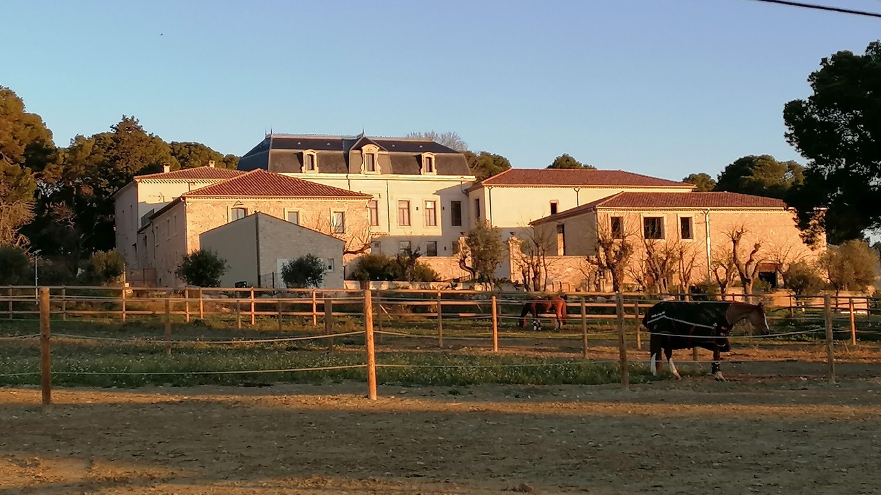 Photo of Outdoor in Vendres