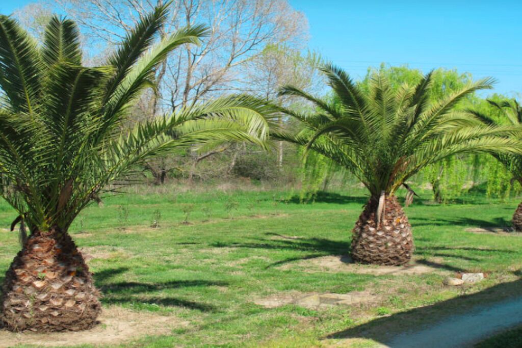 Photo of Outdoor in Ghisonaccia