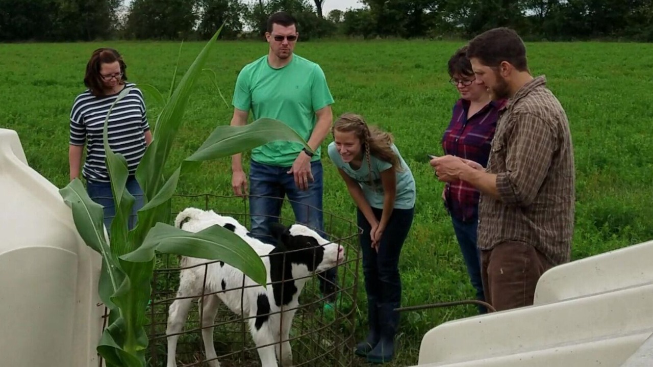 Photo of Others in Kesley
