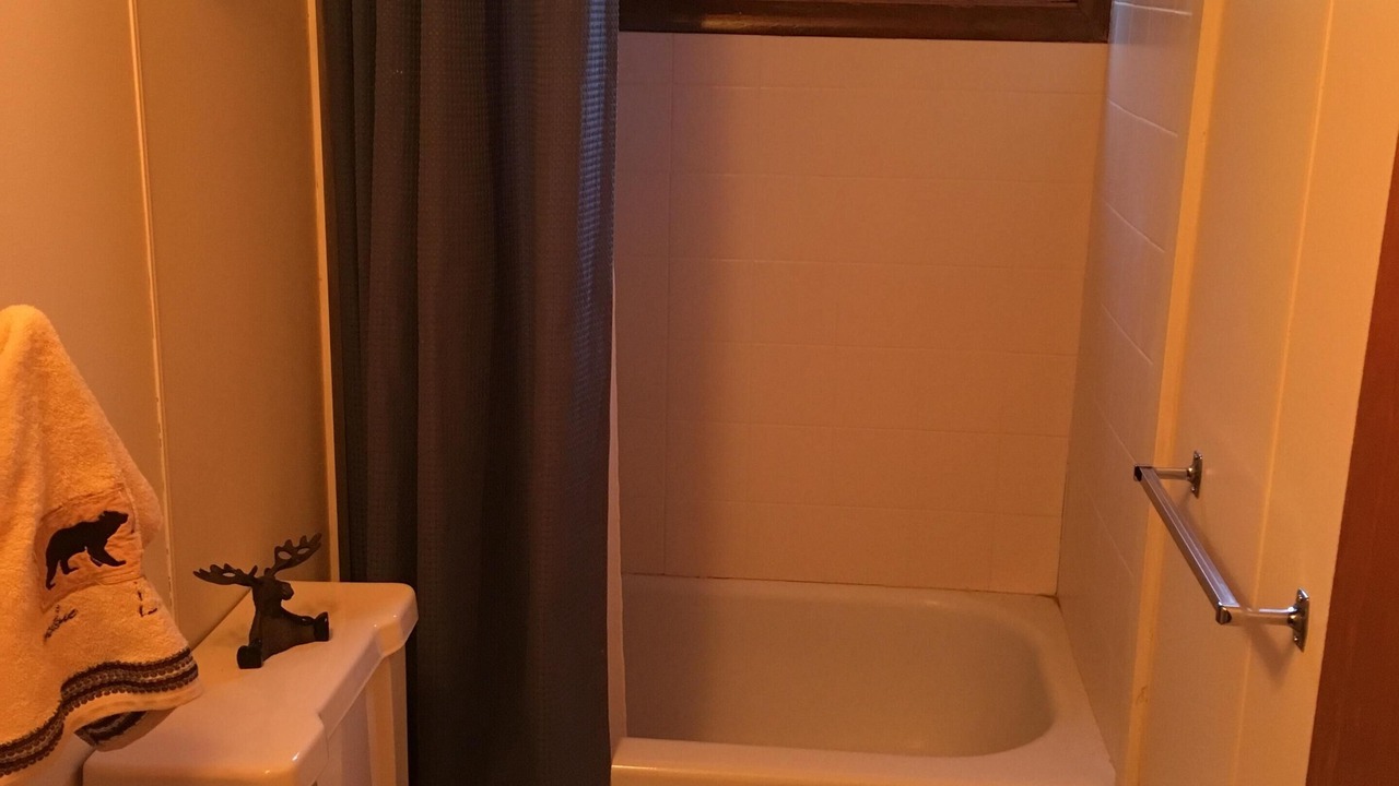 Photo of Bathroom in Intervale