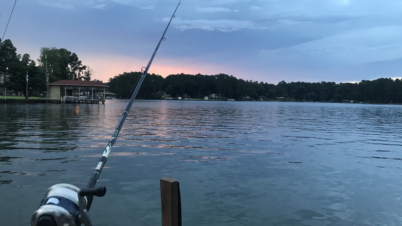 Photo of Outdoor in Jackson