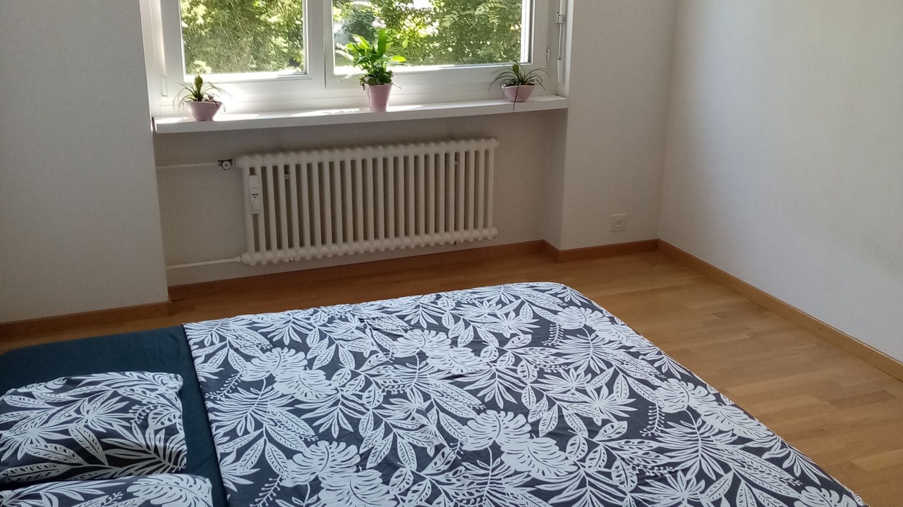 Photo of Bedroom in Meilen District
