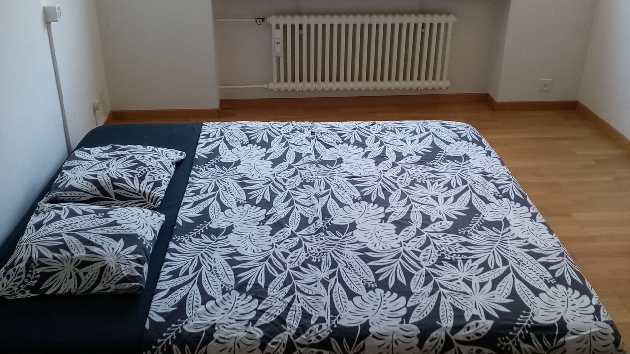 Photo of Bedroom in Meilen District