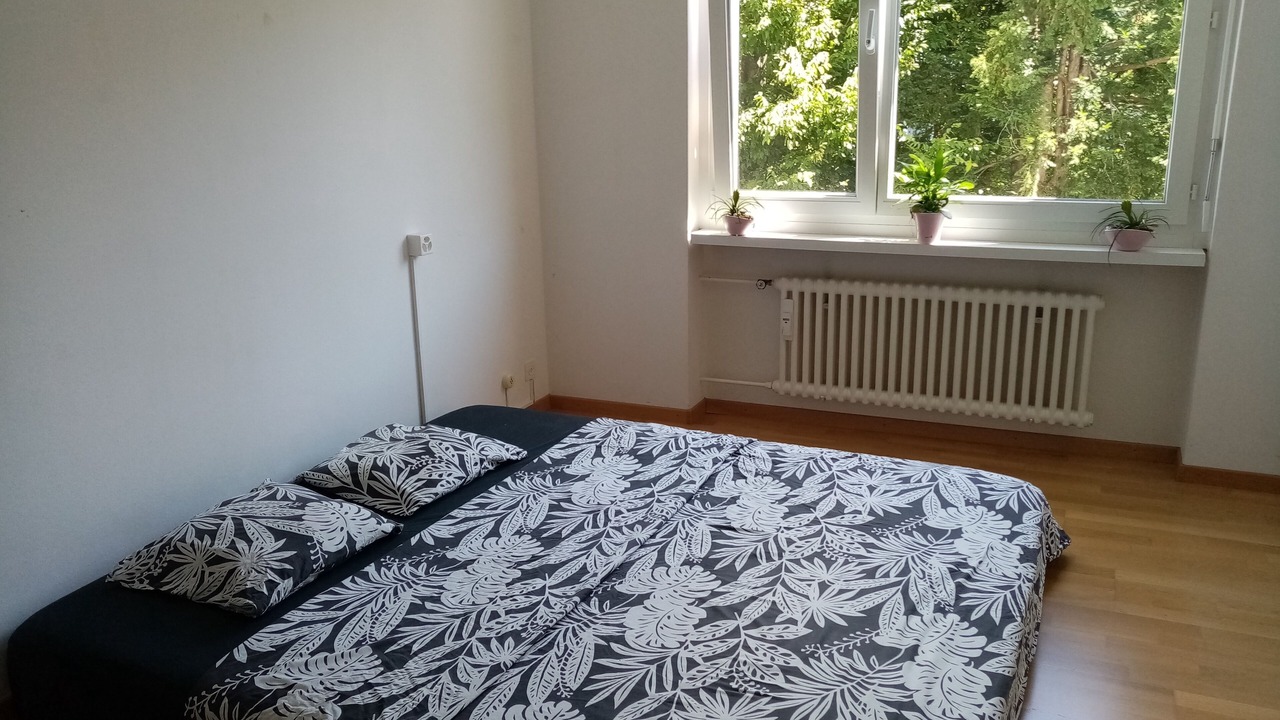 Photo of Bedroom in Meilen District