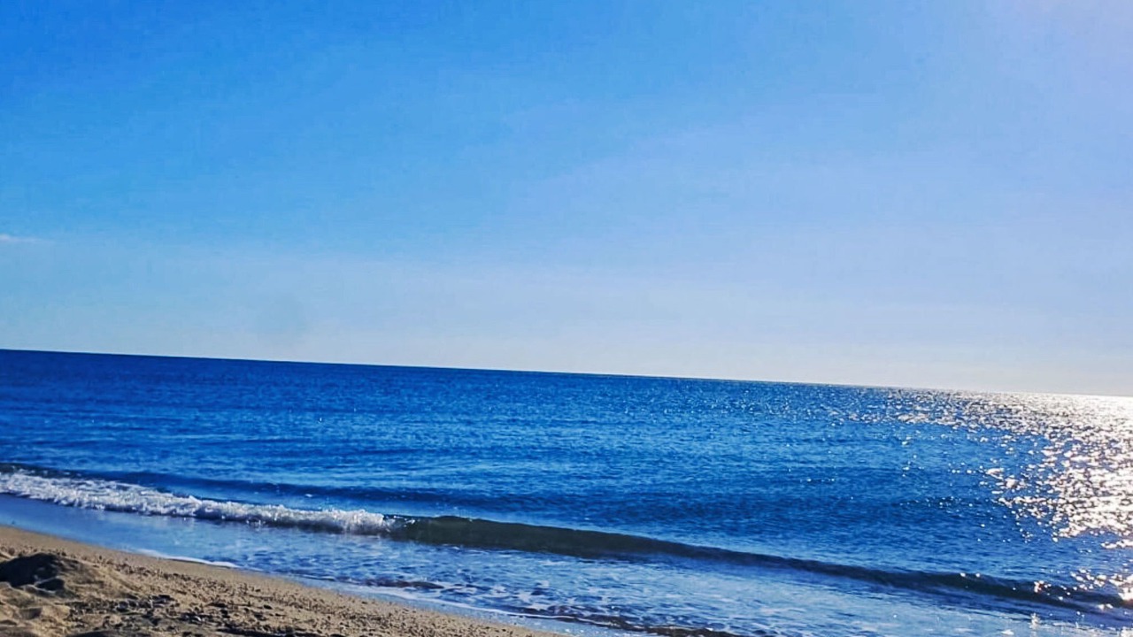 Photo of Others in Sainte-Marie-la-Mer