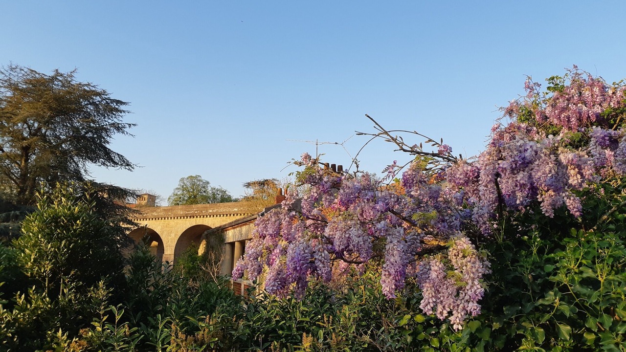 Photo of Outdoor in Clisson