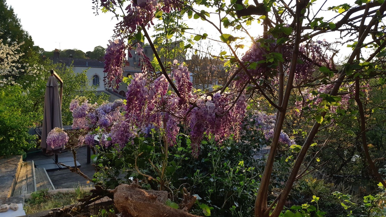 Photo of Outdoor in Clisson