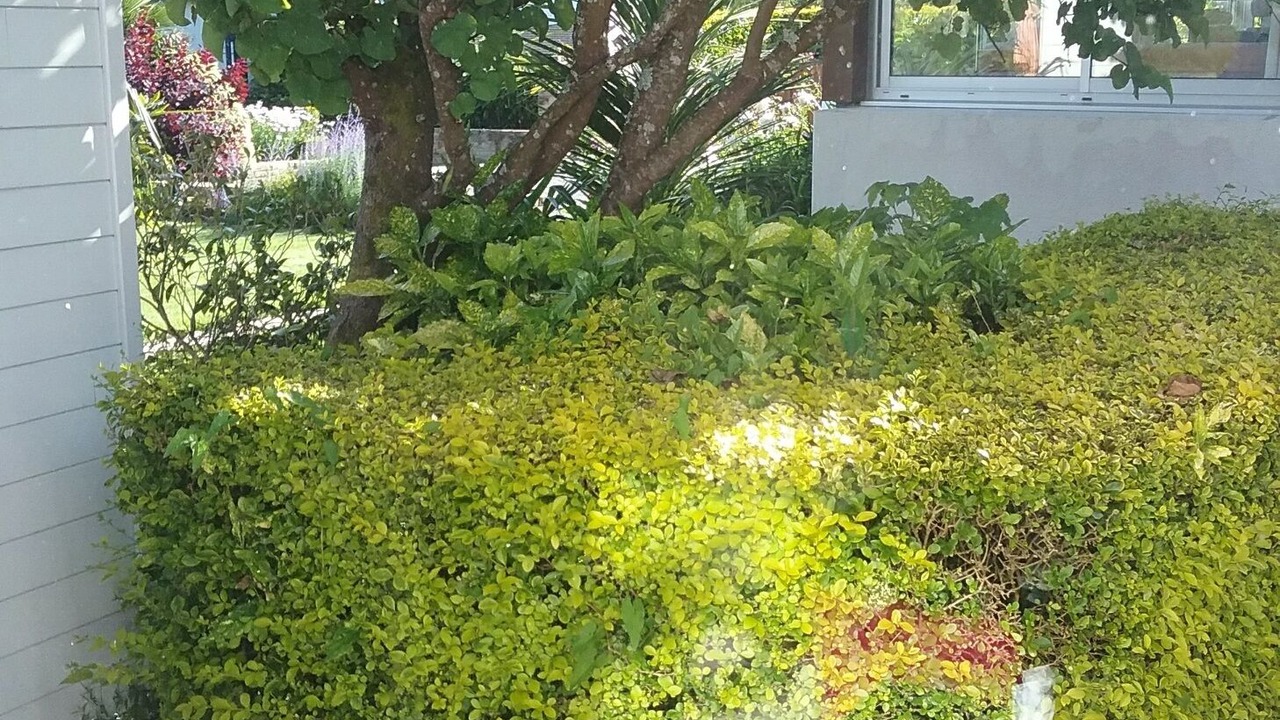 Photo of Outdoor in Fouesnant