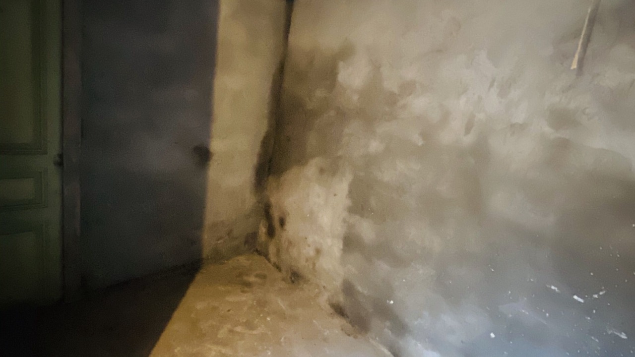 Photo of Others in Mont-Dore