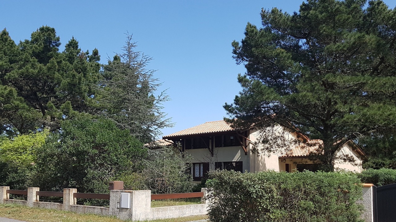 Photo of Outdoor in Maubuisson