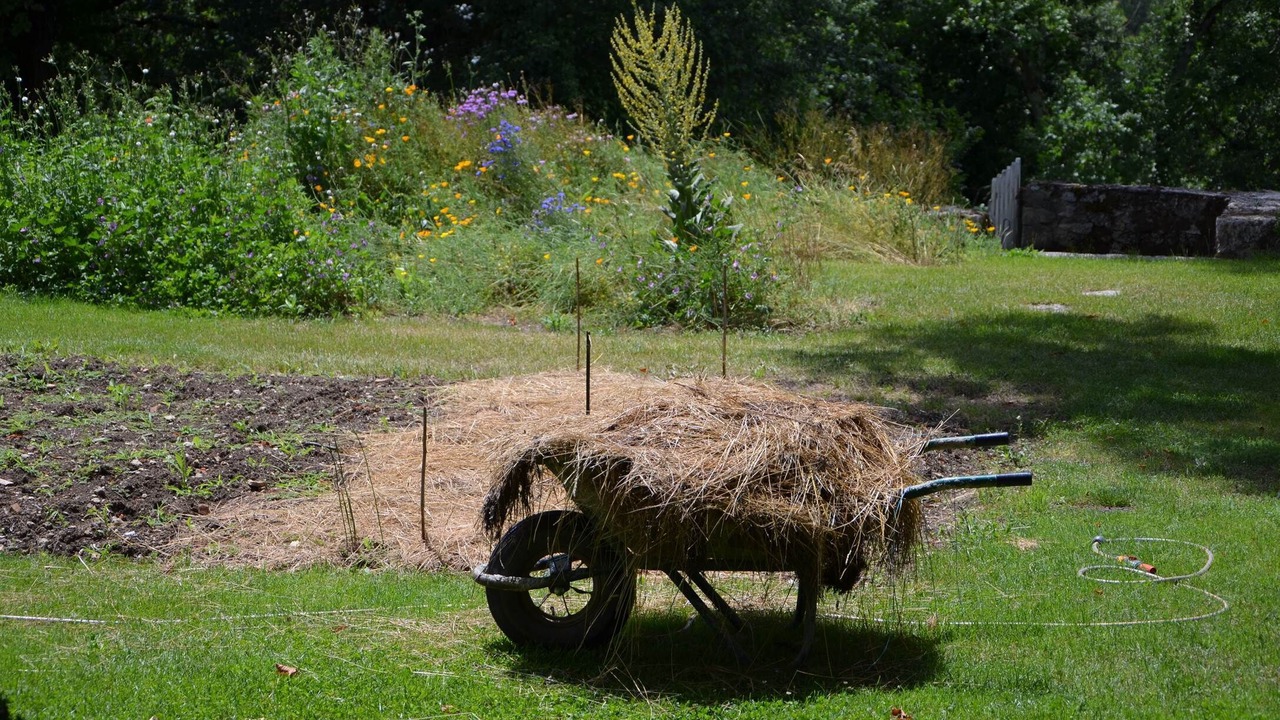 Photo of Others in Condom