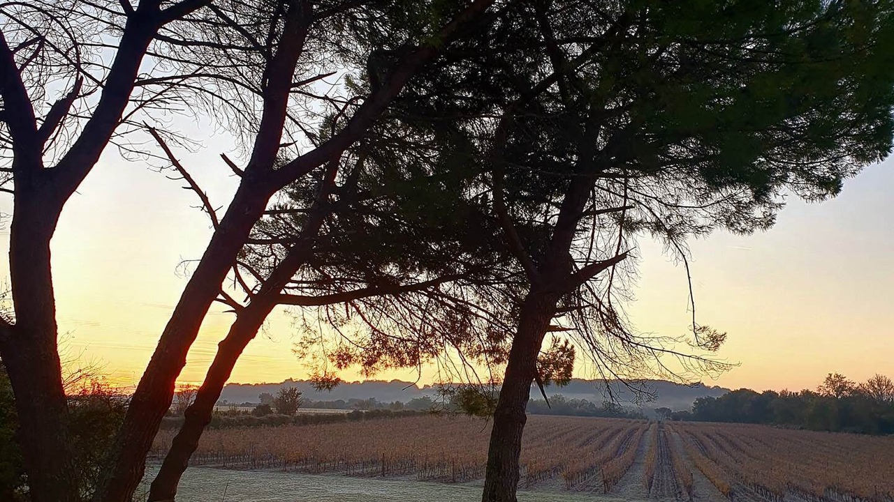 Photo of Others in Condom