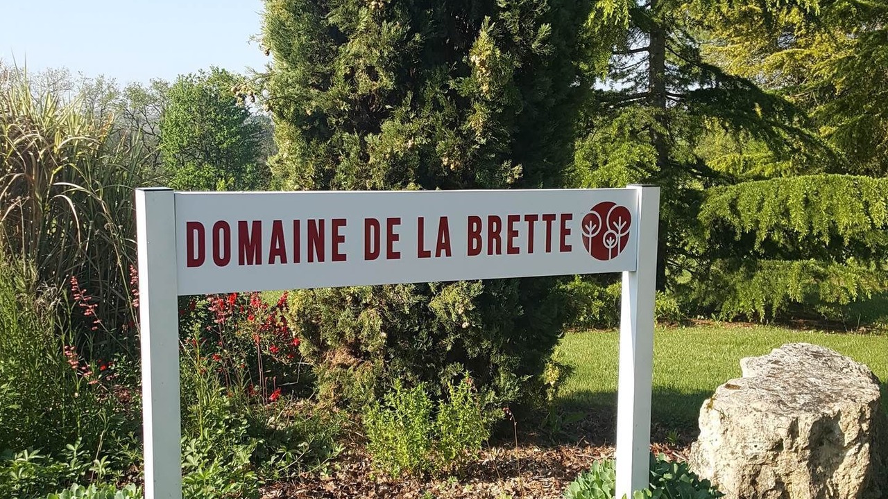 Photo of Others in Condom