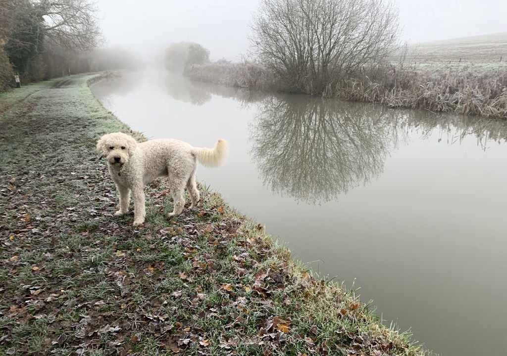 Photo of Others in Blisworth