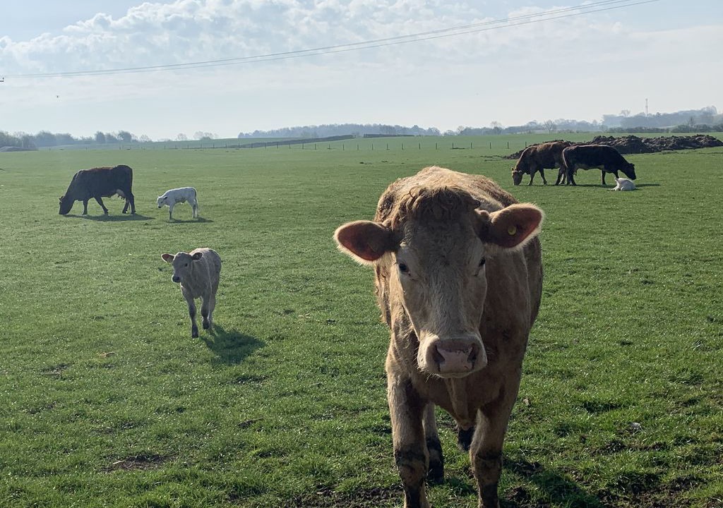 Photo of Outdoor in Blisworth