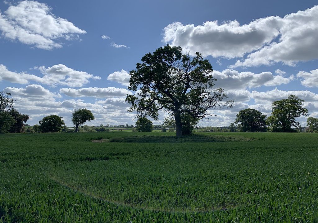 Photo of Others in Blisworth