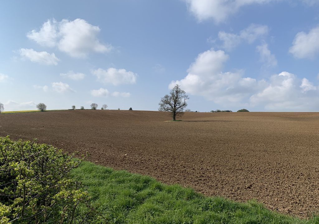 Photo of Others in Blisworth