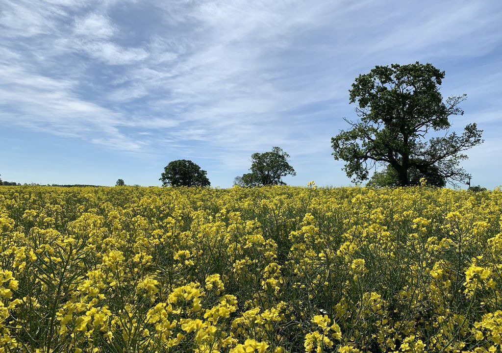 Photo of Outdoor in Blisworth