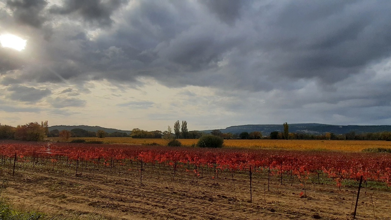 Photo of Others in Suze-la-Rousse