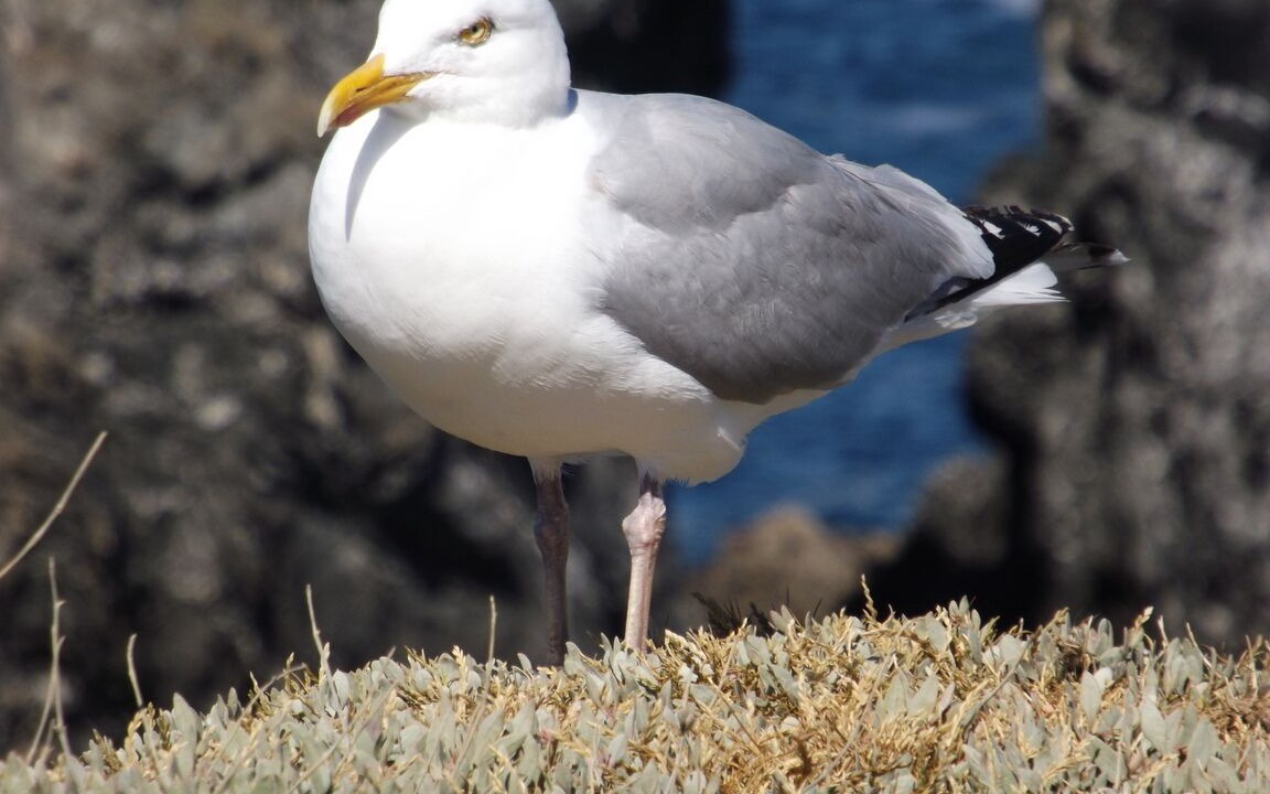 Photo of Outdoor in Cite