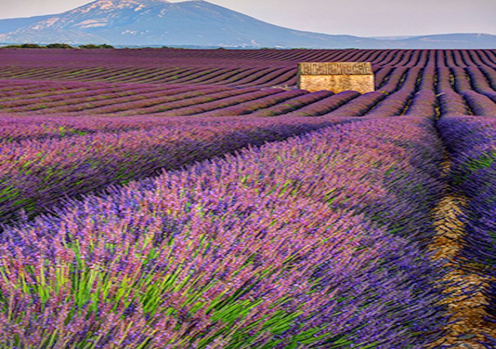 Photo of Bedroom in Puimoisson