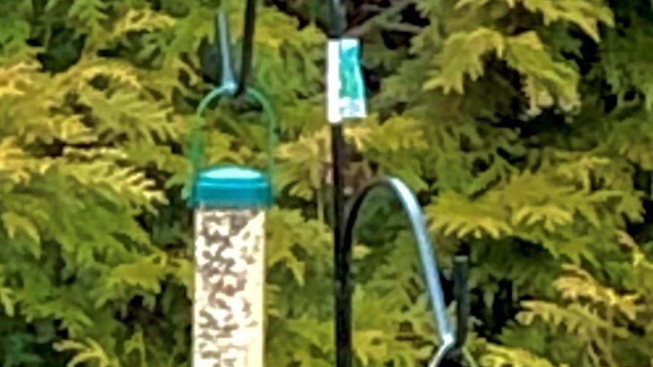 Photo of Others in Hermann