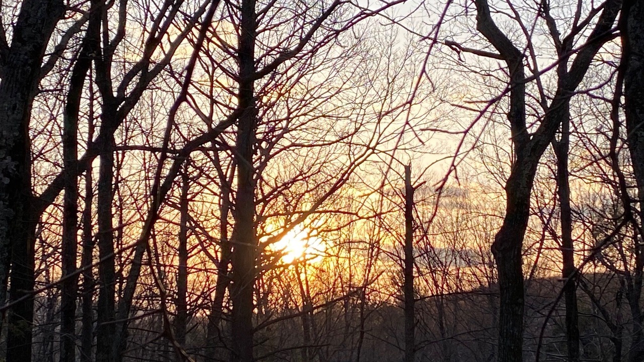 Photo of Outdoor in Mount Tremper