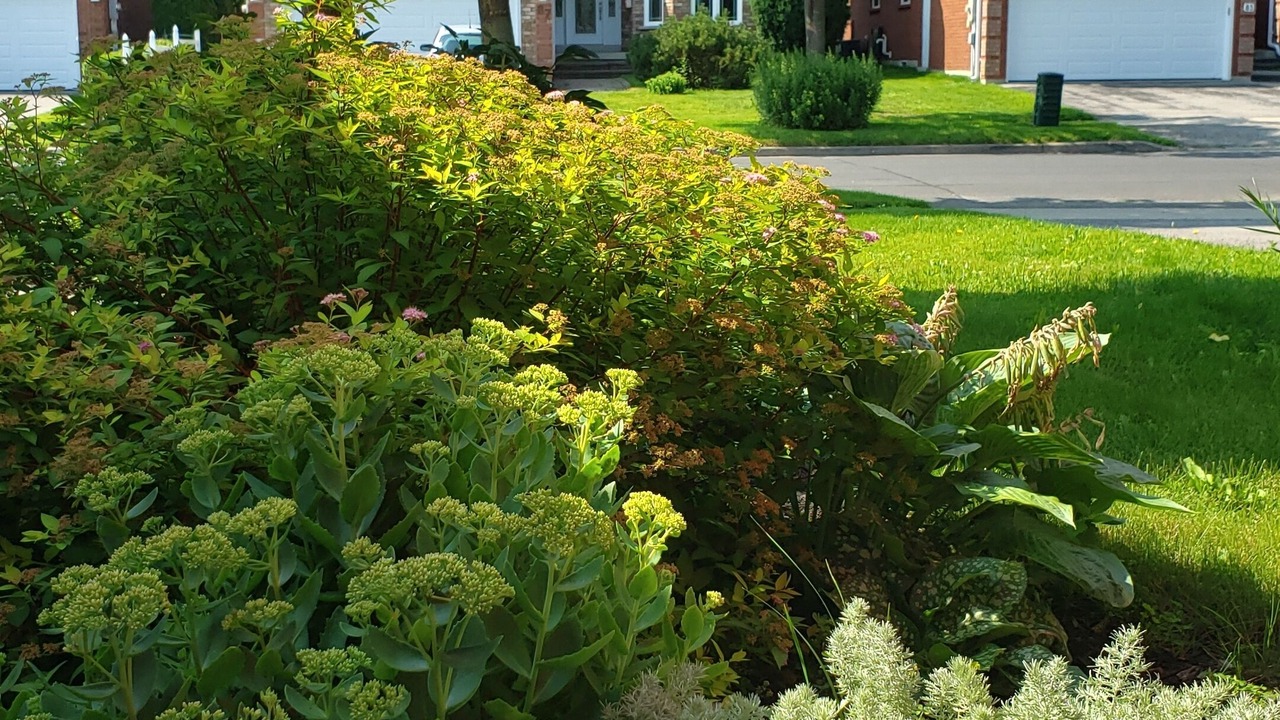 Photo of Others in Barrie