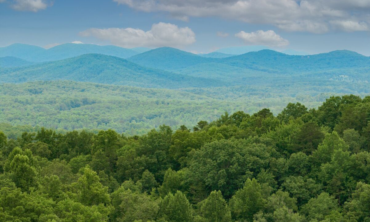 Photo of Others in Murphy