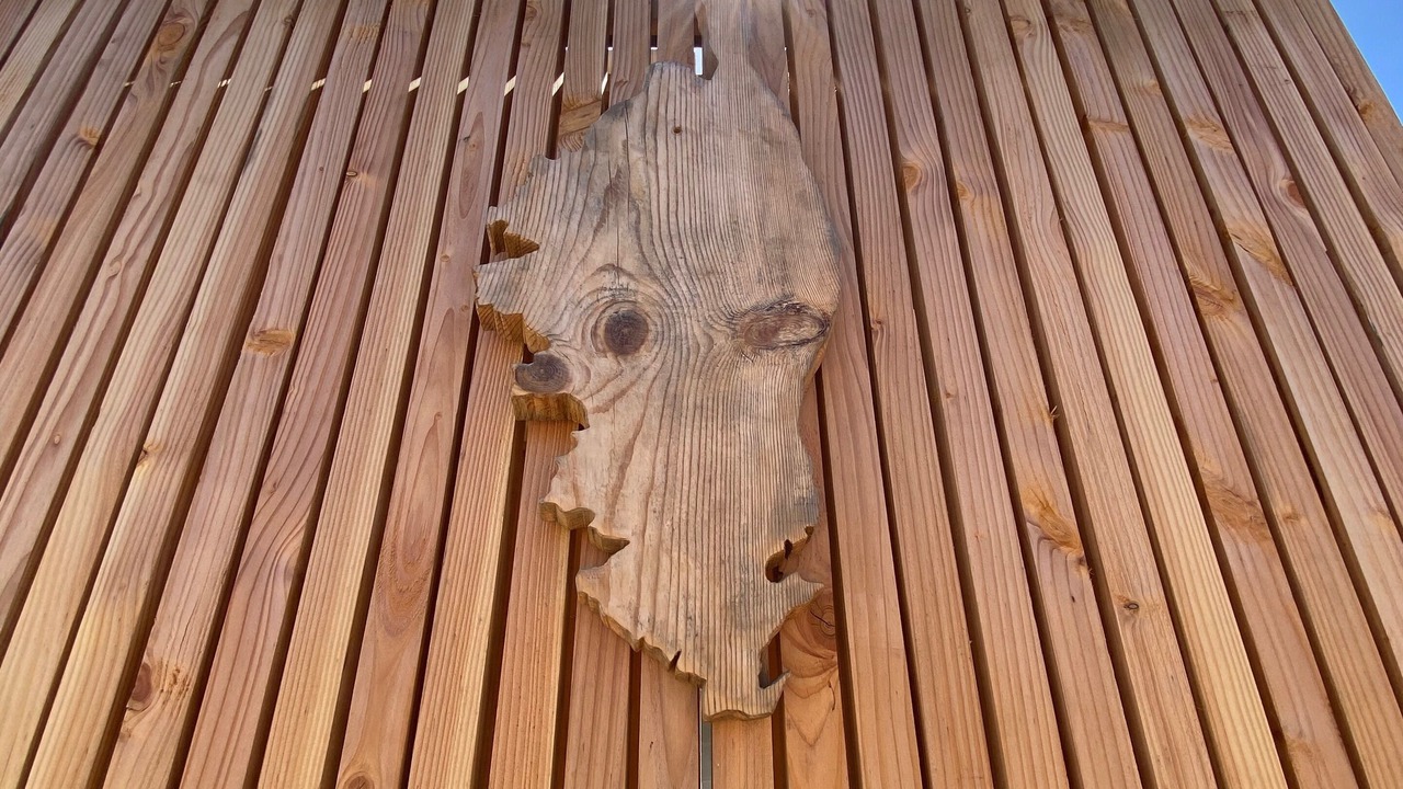 Photo of Outdoor in Porto-Vecchio