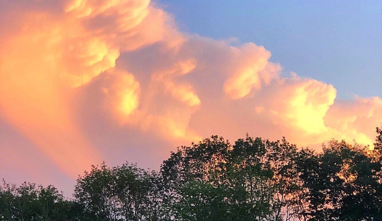 Photo of Others in Jefferson