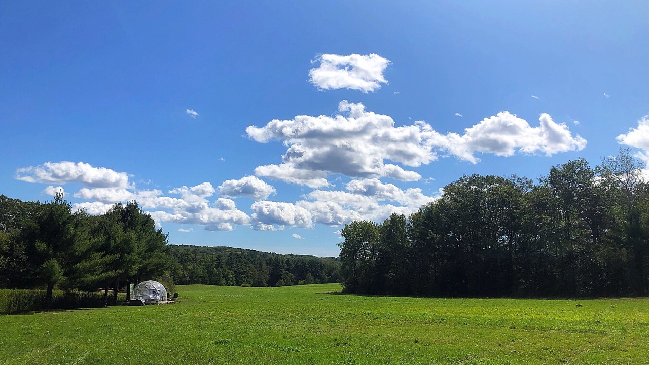 Photo of Others in Jefferson