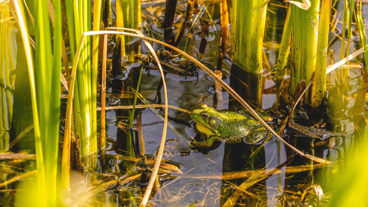 Photo of Others in Jefferson