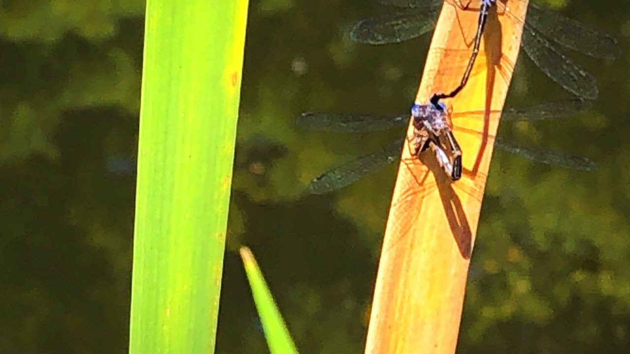 Photo of Others in Jefferson