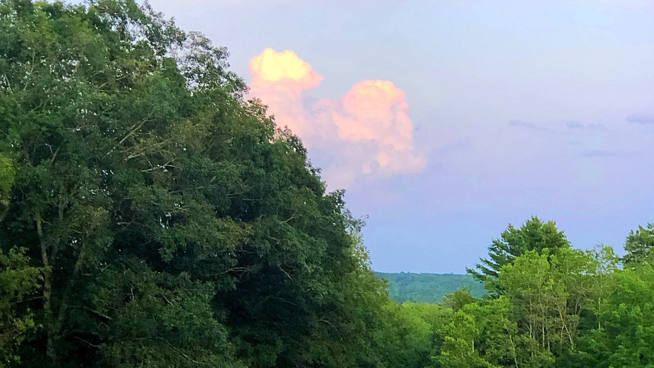 Photo of Others in Jefferson