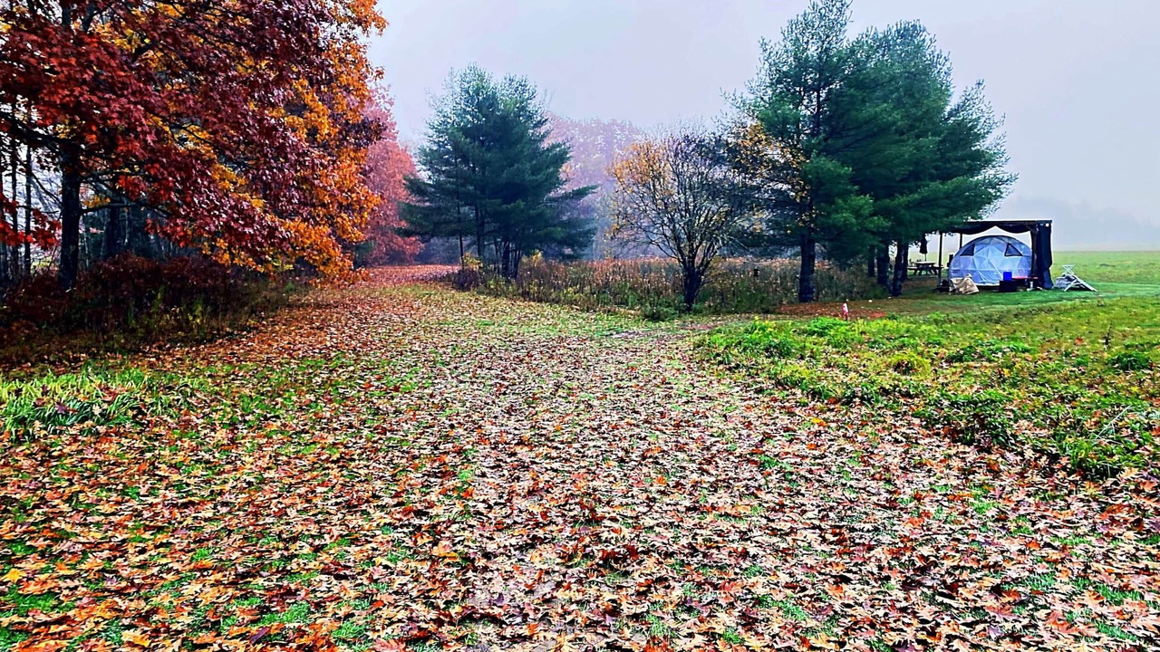 Photo of Others in Jefferson