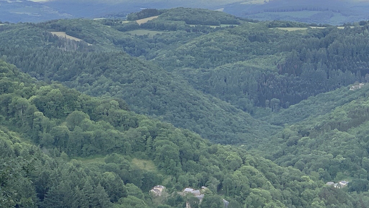 Photo of Outdoor in Castelnau-de-Brassac