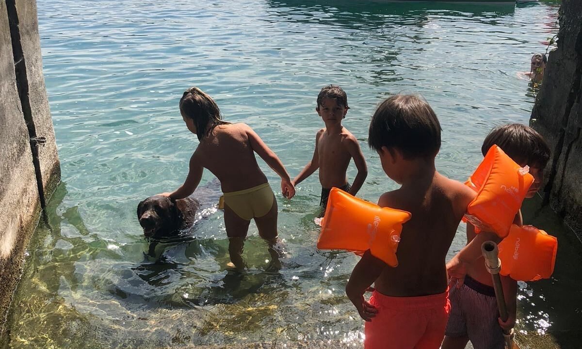 Photo of Others in Le Pin